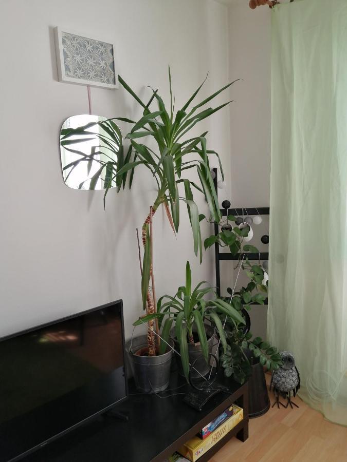 Emma Apartman Nová Lesná Kültér fotó
