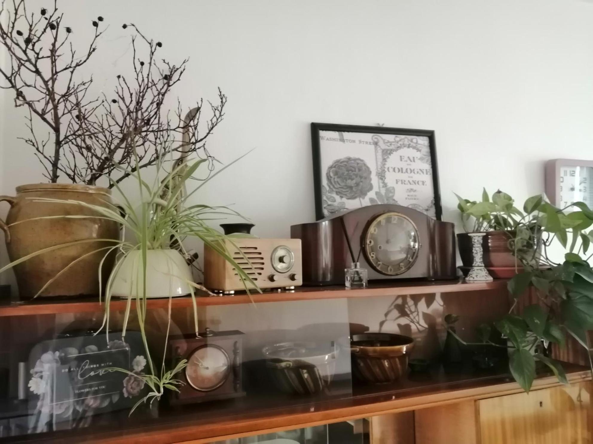 Emma Apartman Nová Lesná Kültér fotó