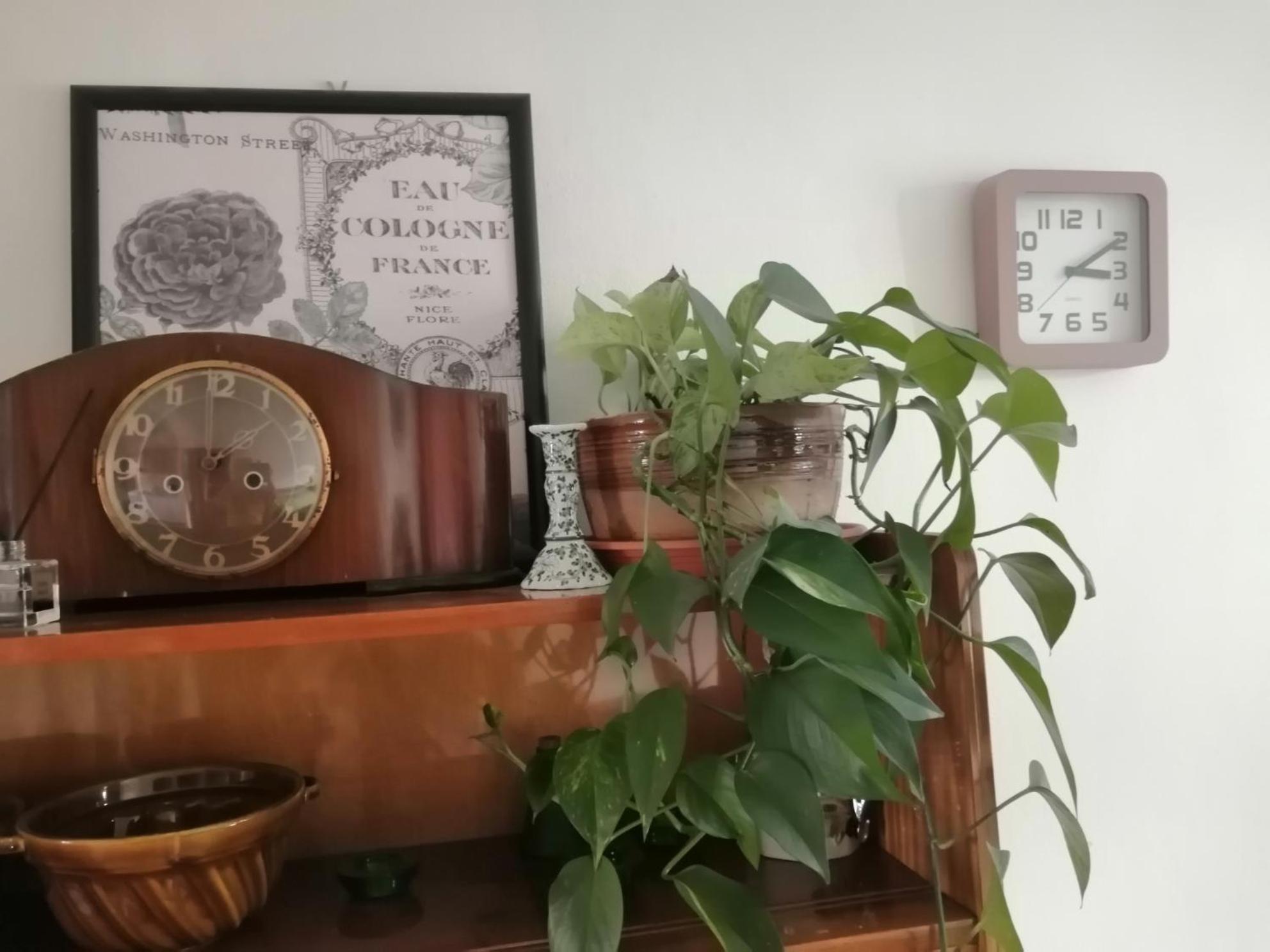 Emma Apartman Nová Lesná Kültér fotó